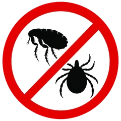 No fleas ticks icon